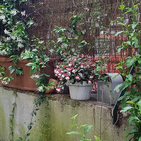 Casa 4 Trastevere With Garden * Róma